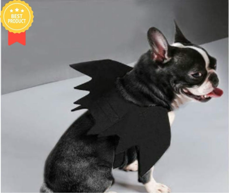 Bat Wings Costume for Pets