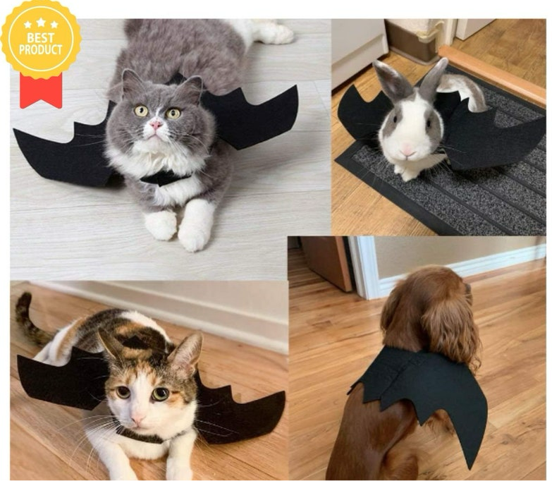 Bat Wings Costume for Pets