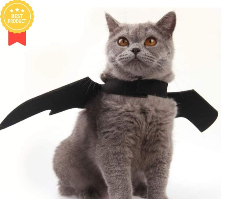 Bat Wings Costume for Pets