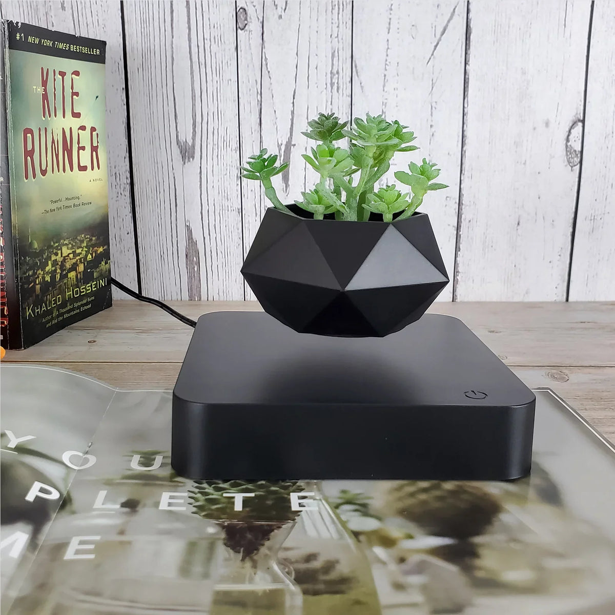 Levitation Plants Pot Table Plants Display