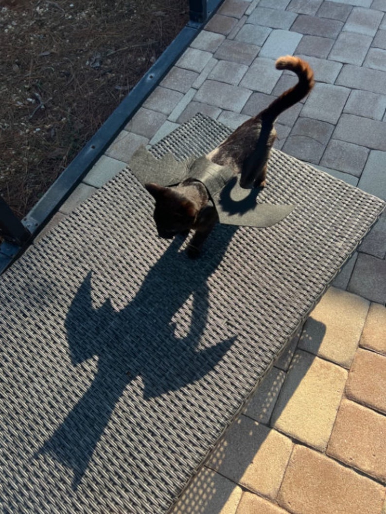 Bat Wings Costume for Pets